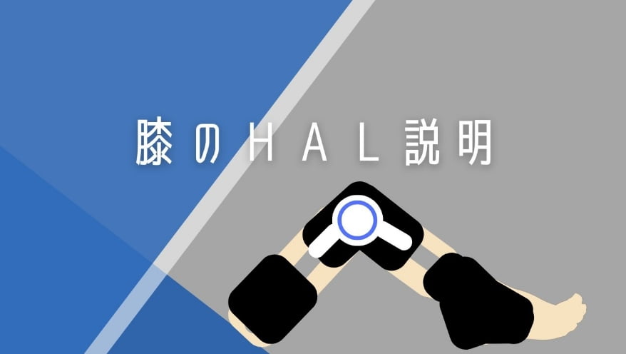 【膝】HALの説明