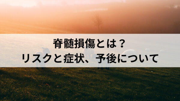 脊髄損傷患者必見！自費リハビリのメリットとは？