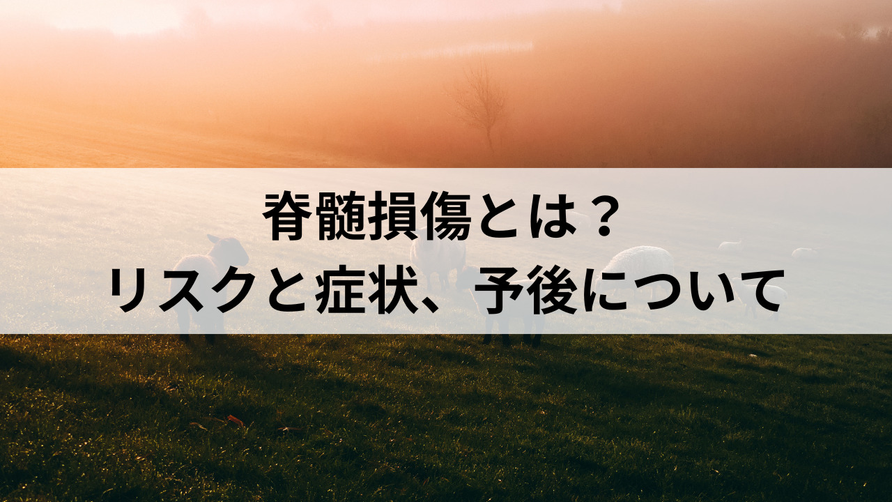 脊髄損傷とは？リスクと症状、予後について