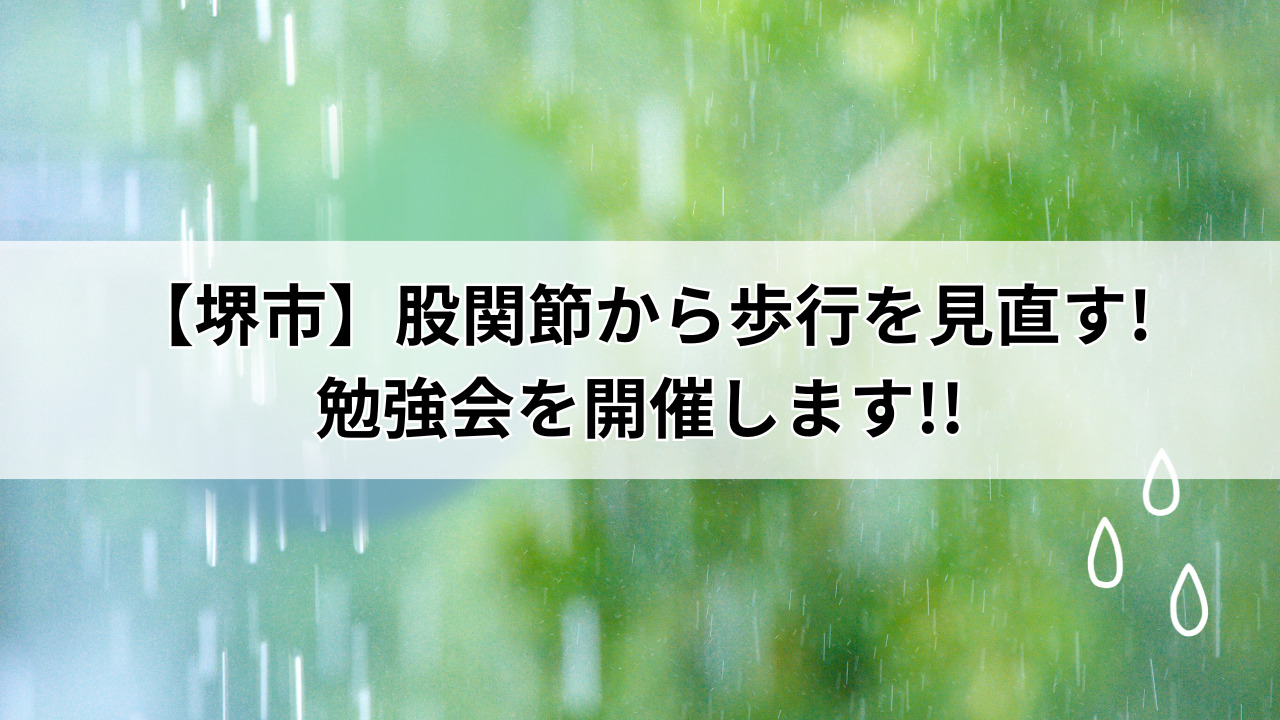 【堺市】股関節から歩行を見直す勉強会を開催します
