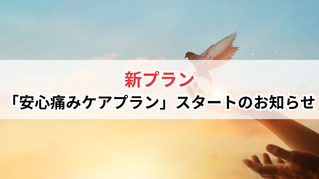 新プラン「安心痛みケアプラン」スタートのお知らせ✨